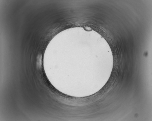 X0000116600028201001221307