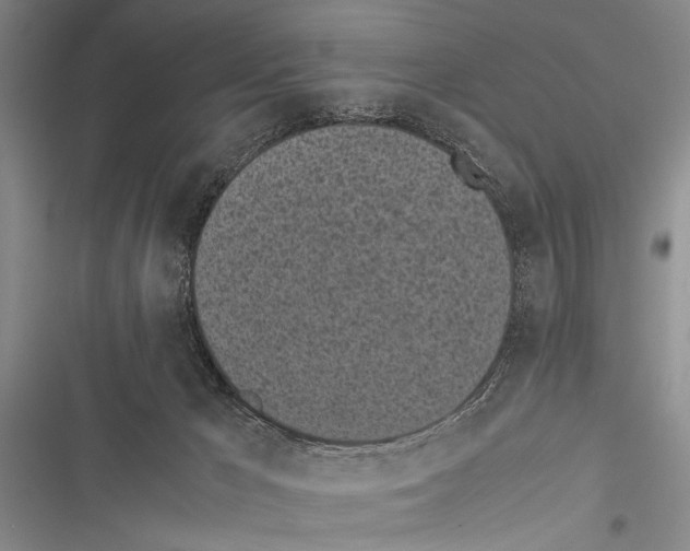 X0000116600029201001221307