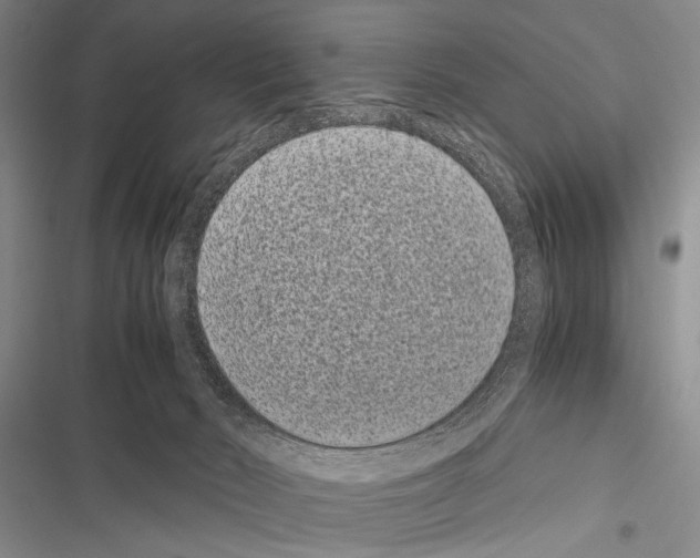 X0000116600030201001221307