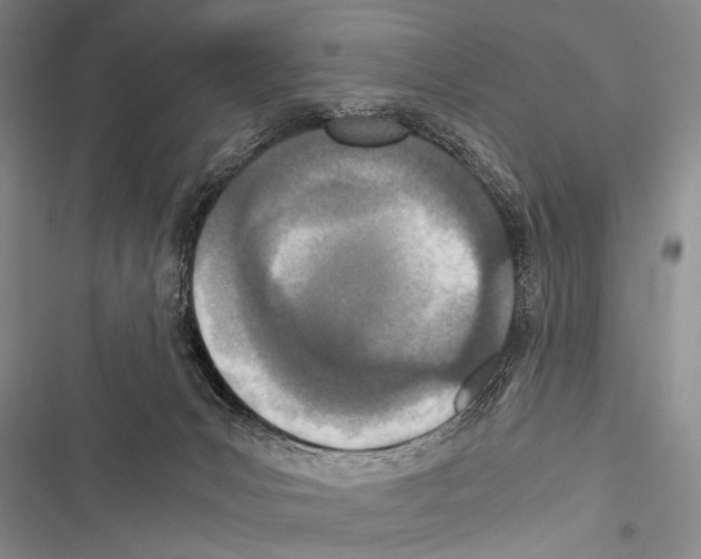 X0000116600031201001221307
