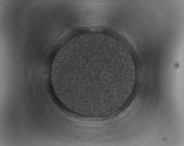 X0000116600032201001221307