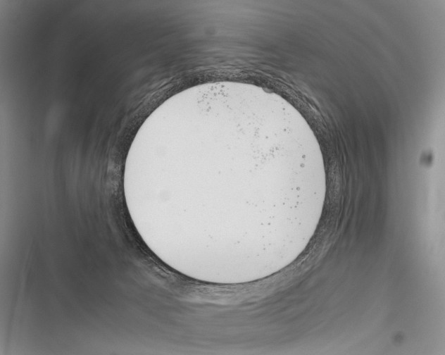 X0000116600033201001221307