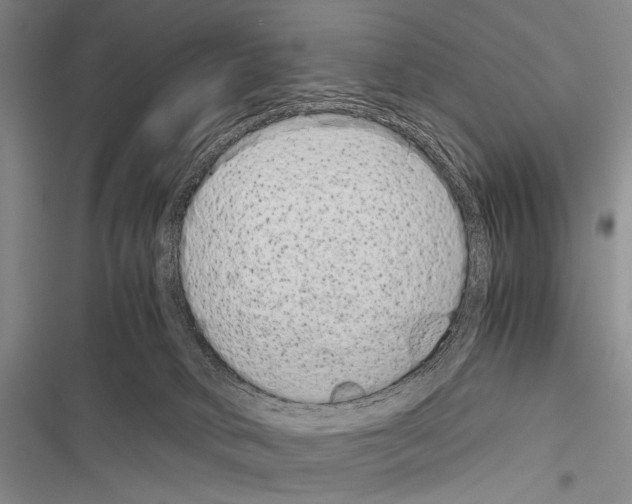 X0000116600034201001221307