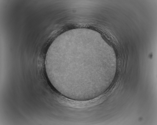 X0000116600035201001221307