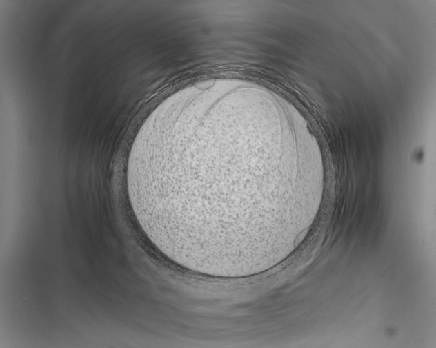 X0000116600036201001221307