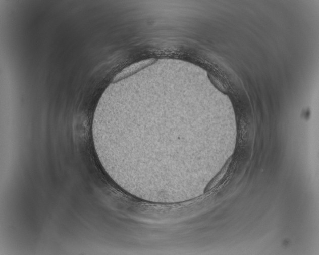 X0000116600037201001221307
