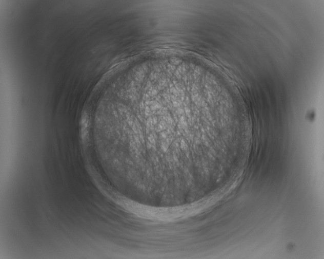X0000116600038201001221307