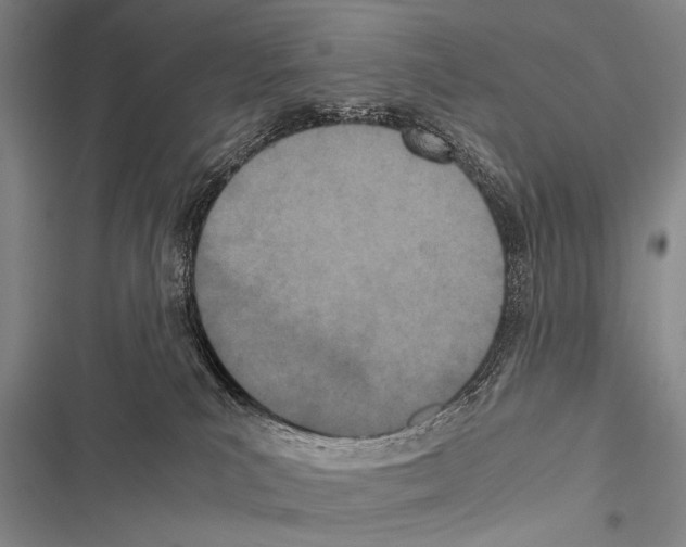 X0000116600039201001221307
