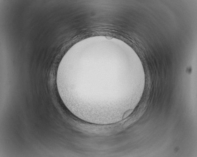 X0000116600040201001221307