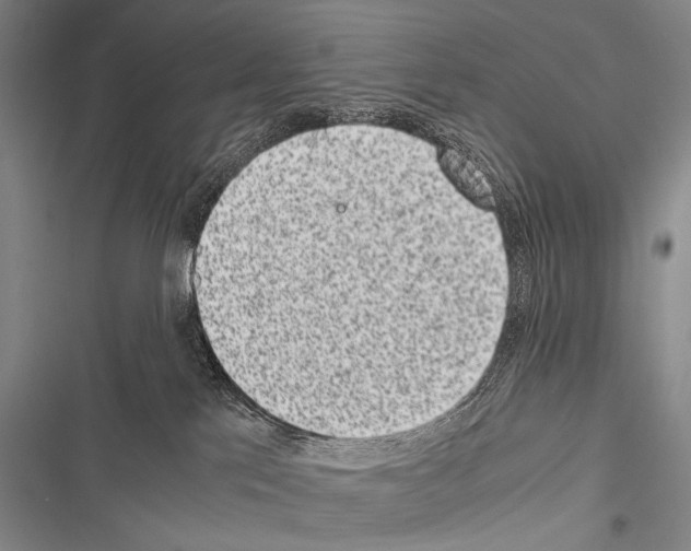 X0000116600041201001221307