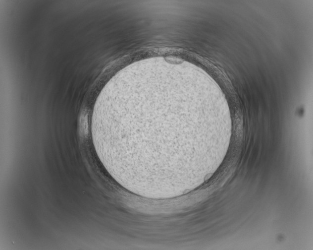 X0000116600042201001221307