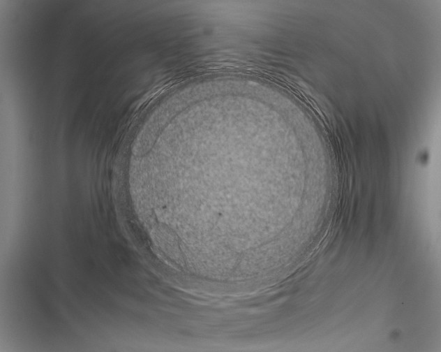 X0000116600043201001221307