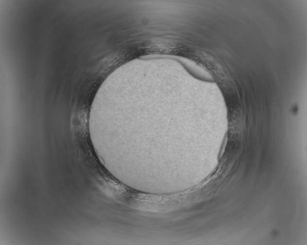 X0000116600045201001221307