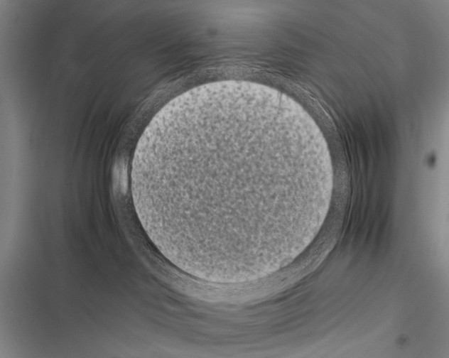 X0000116600046201001221307