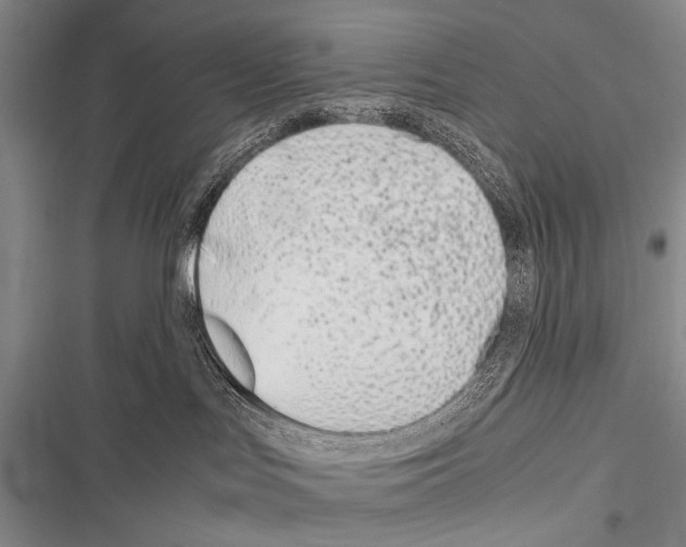 X0000116600047201001221307
