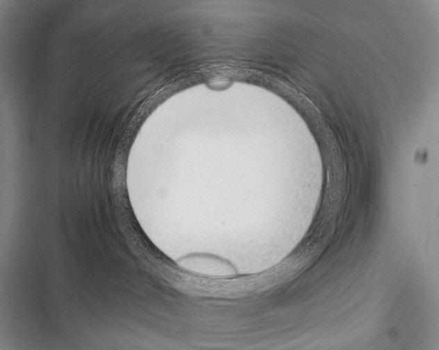 X0000116600048201001221307