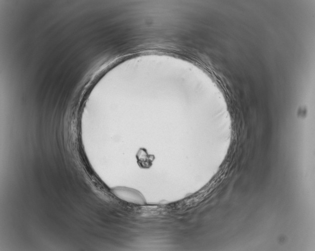 X0000116600050201001221306
