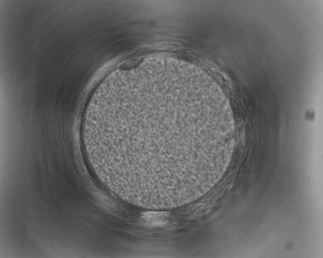 X0000116600051201001221306