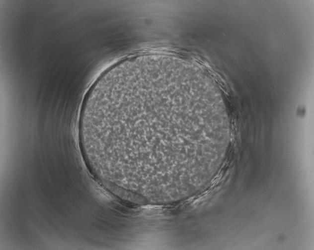 X0000116600052201001221306
