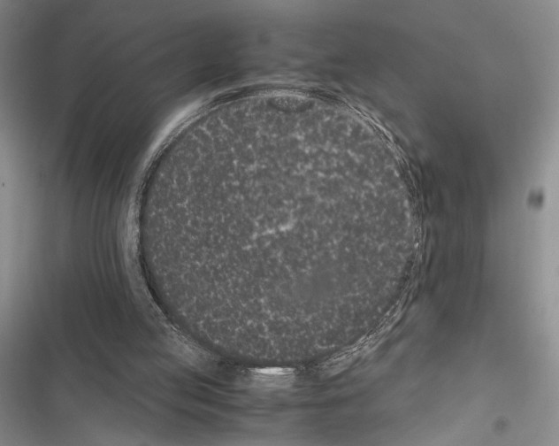 X0000116600053201001221306