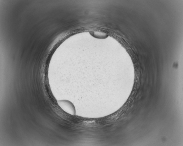 X0000116600054201001221306