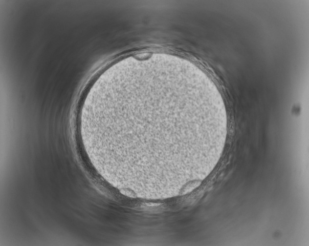 X0000116600055201001221306