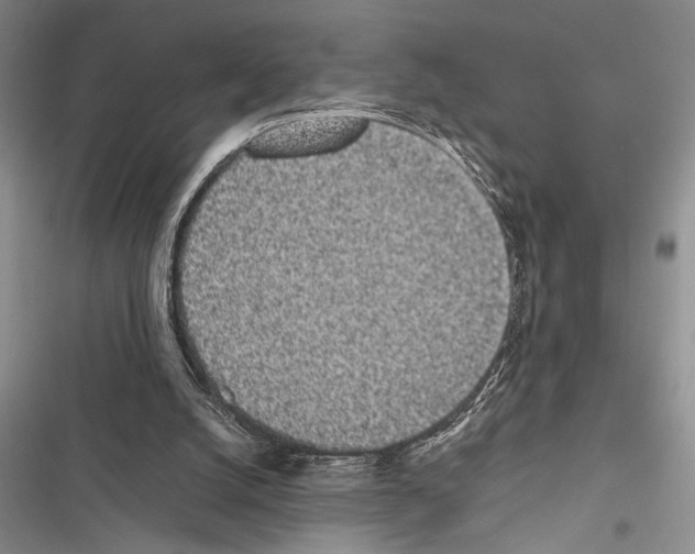 X0000116600056201001221306