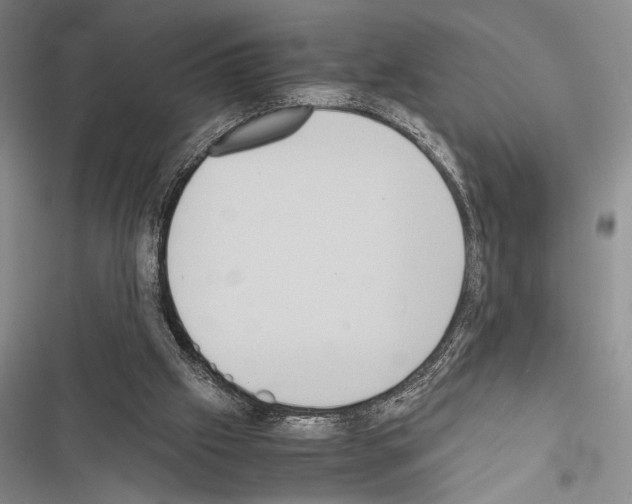 X0000116600057201001221306