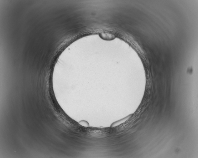 X0000116600058201001221306