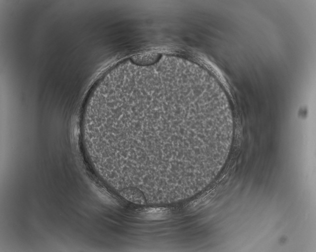 X0000116600059201001221306