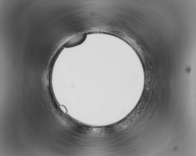 X0000116600060201001221306