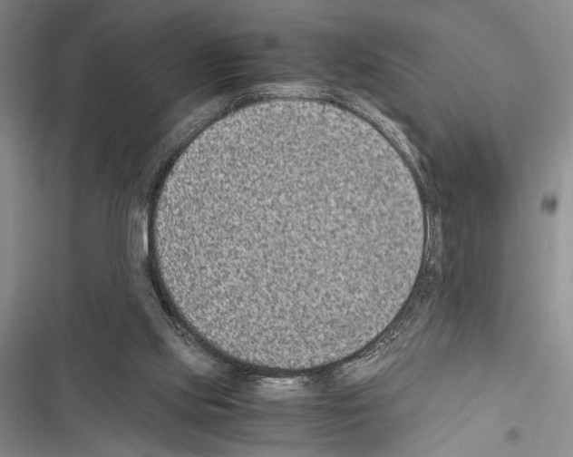 X0000116600061201001221306