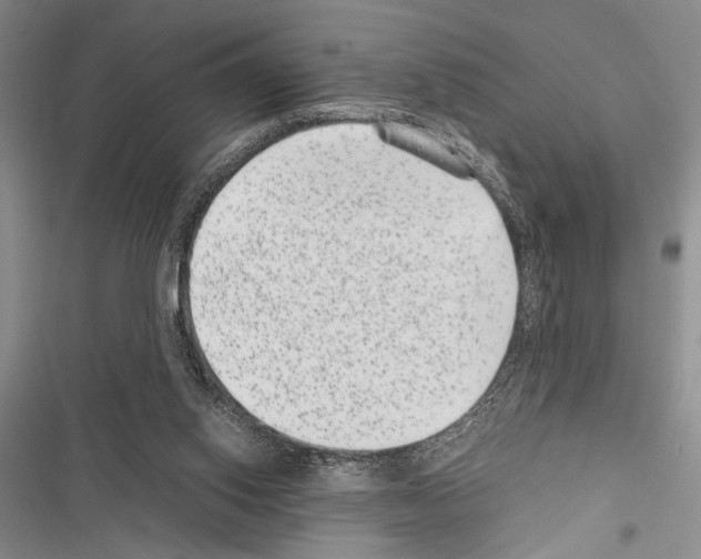X0000116600062201001221306