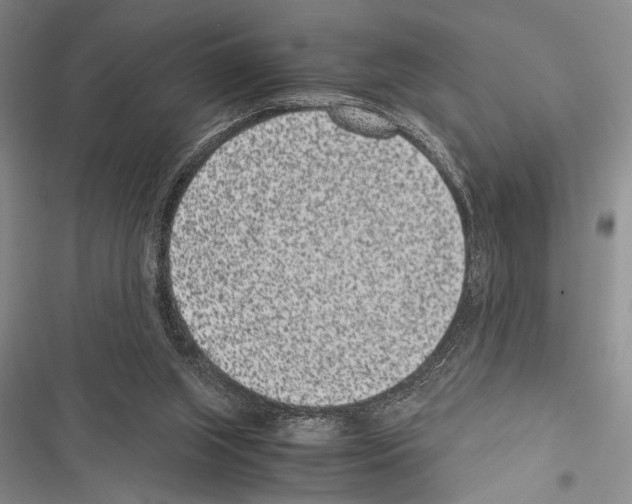 X0000116600063201001221306