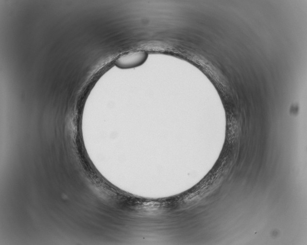 X0000116600064201001221306