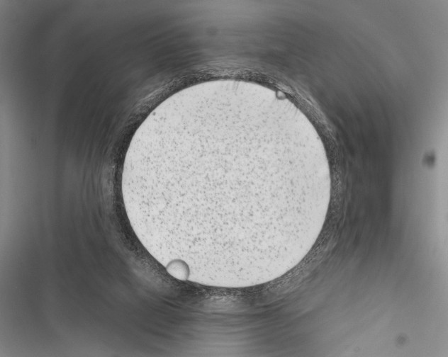 X0000116600066201001221306