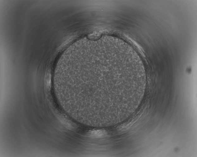 X0000116600067201001221306