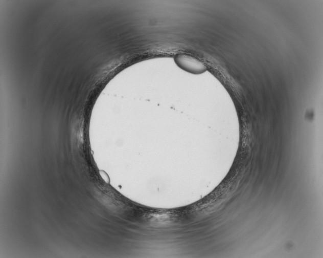 X0000116600068201001221306