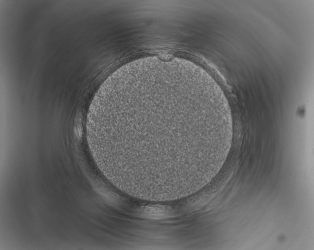 X0000116600069201001221306