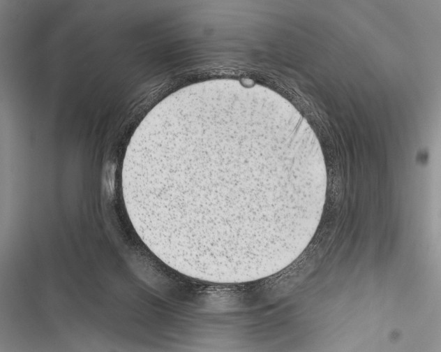 X0000116600070201001221306