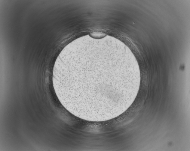 X0000116600071201001221306