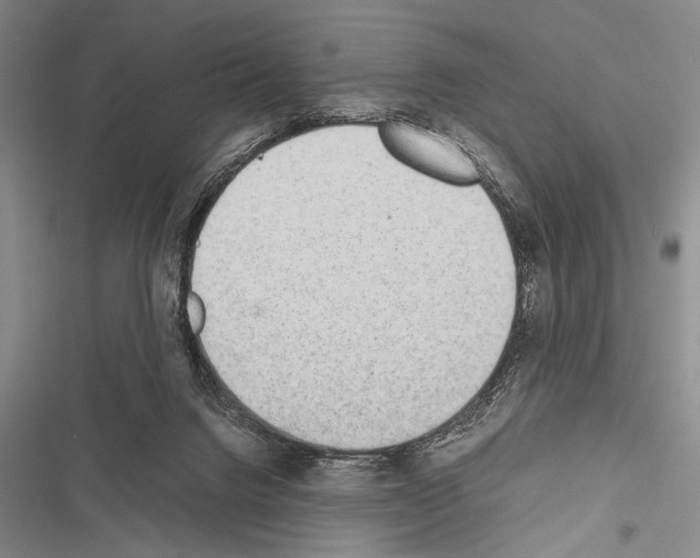 X0000116600072201001221306