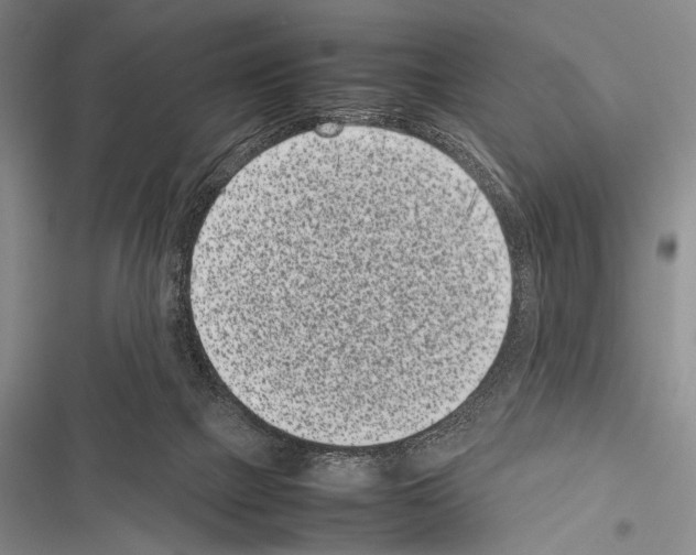 X0000116600073201001221306