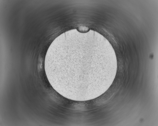 X0000116600075201001221306