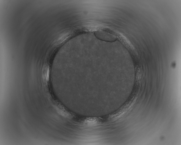 X0000116600076201001221306