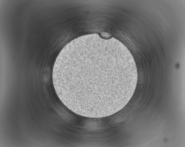 X0000116600077201001221306