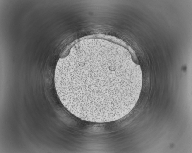 X0000116600078201001221306