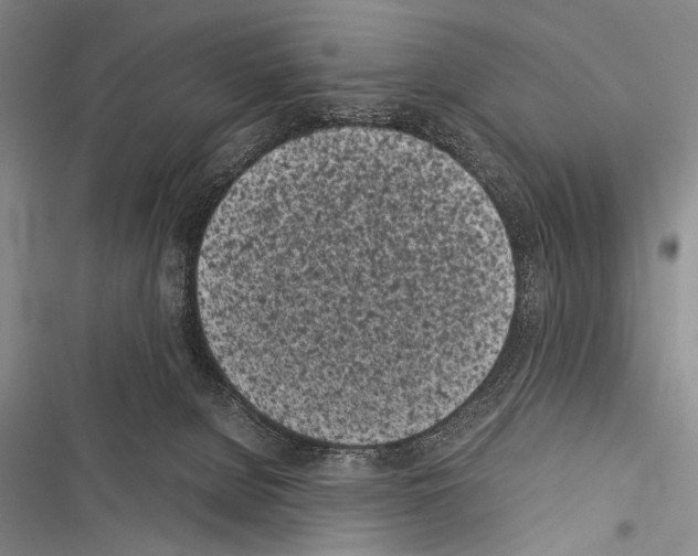 X0000116600080201001221306