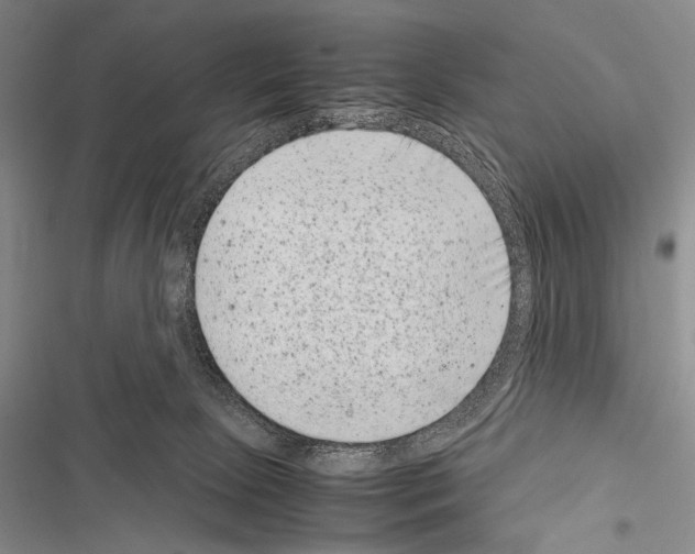 X0000116600081201001221306