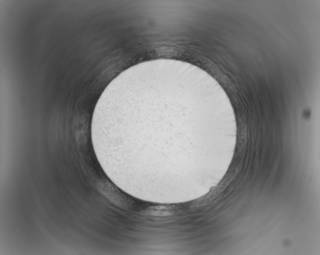 X0000116600082201001221306